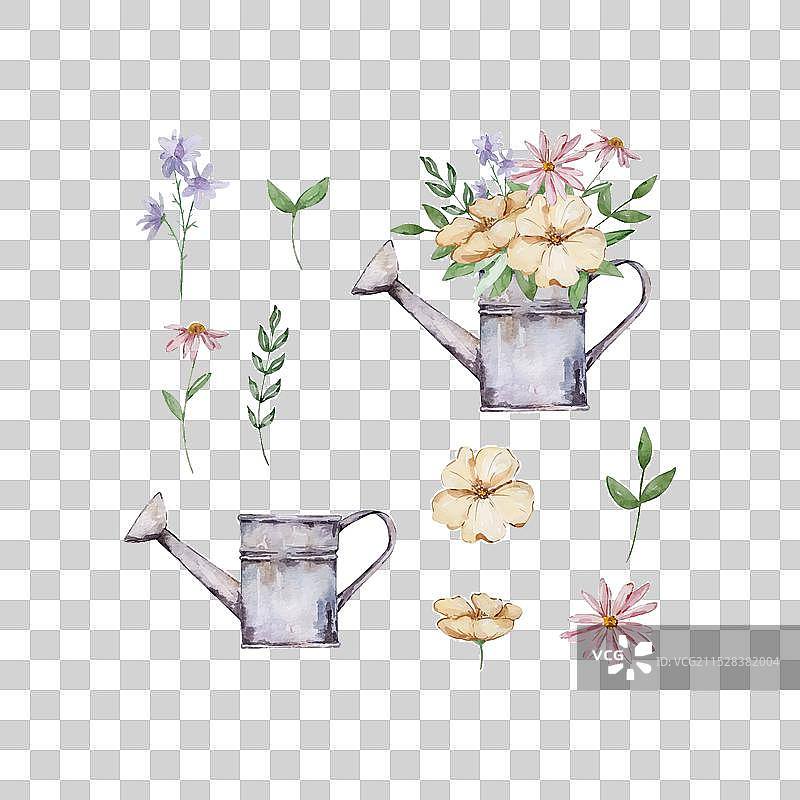 水彩画的浇水壶与花园花卉图片素材