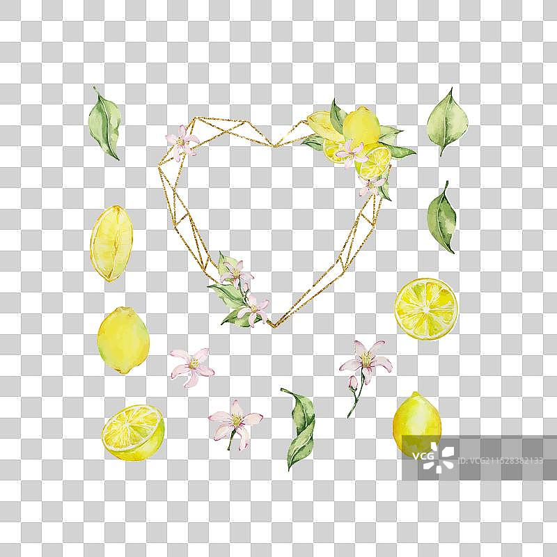 金色框架与水彩柠檬叶子图片素材