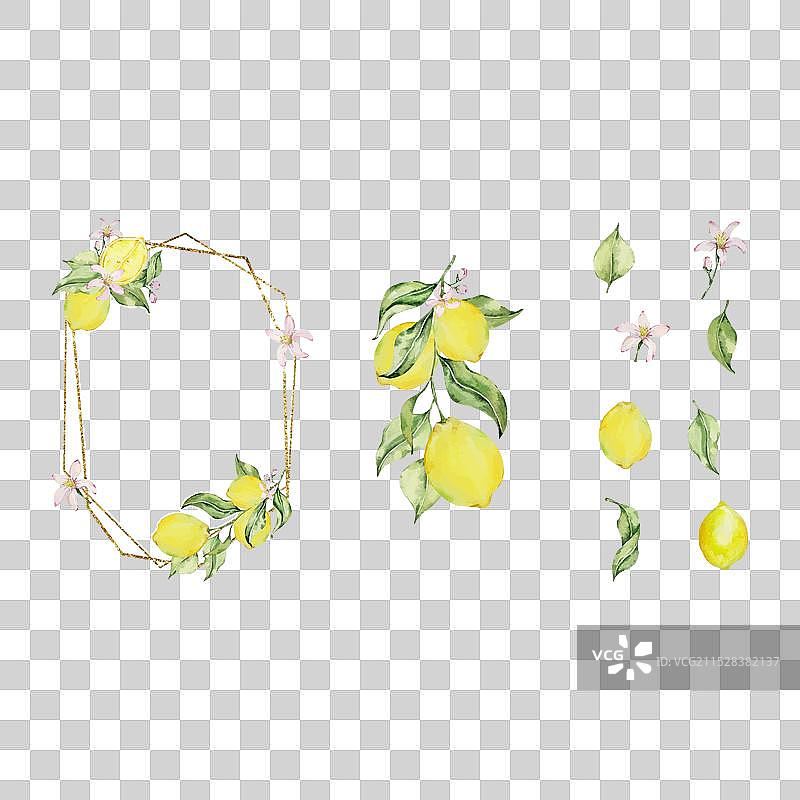 金色框架与水彩柠檬叶子图片素材