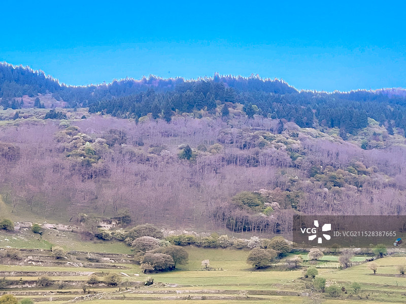 四川阿坝九寨沟-雪山蓝天美景图片素材