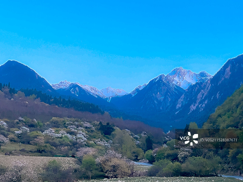 四川阿坝九寨沟-雪山蓝天美景图片素材