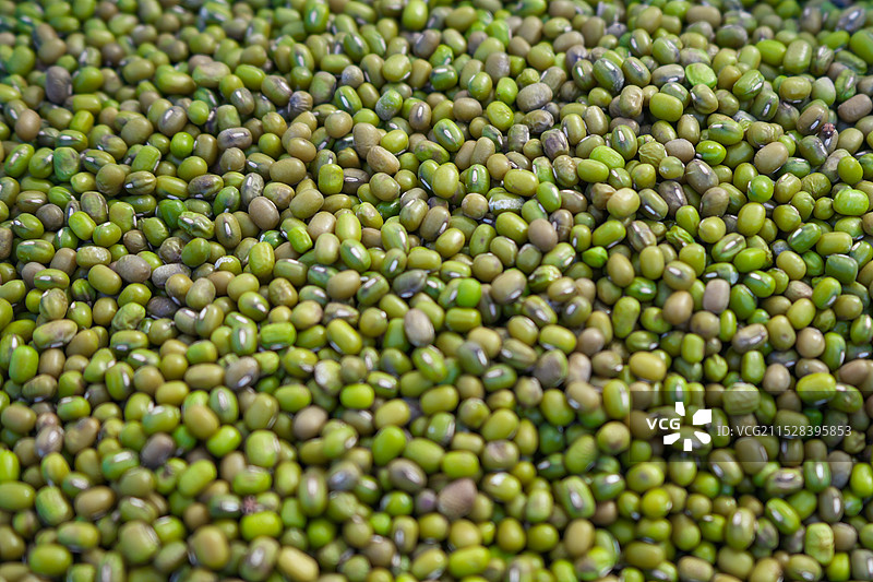 绿豆特写图片素材