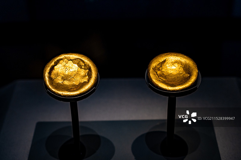 广西壮族自治区博物馆金饼图片素材