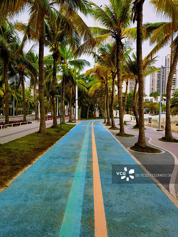 湛江金沙湾步道图片素材