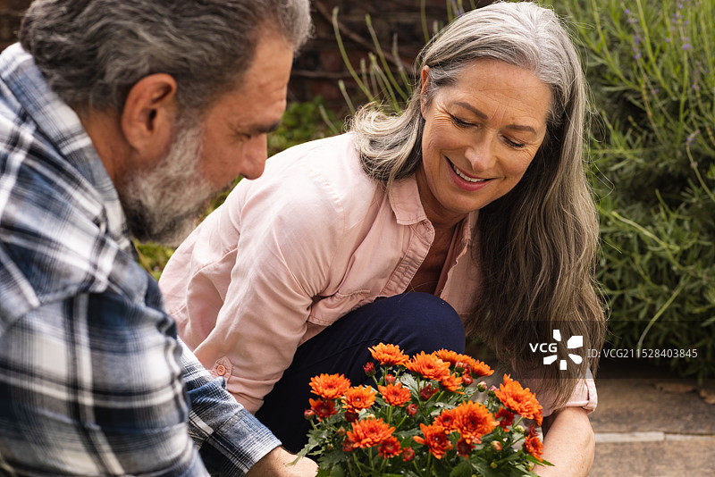 成熟的夫妻在户外一起种植鲜艳的橙色花朵，面带微笑。图片素材