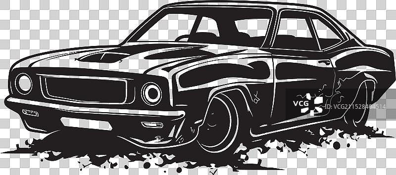 阳光明媚的桑巴舞快乐鹦鹉图形壮观图片素材