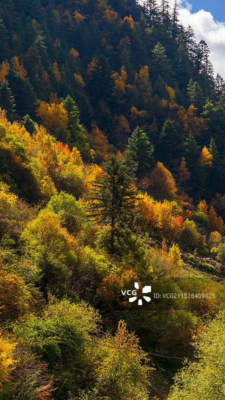 小众路线穿越宝金线图片素材