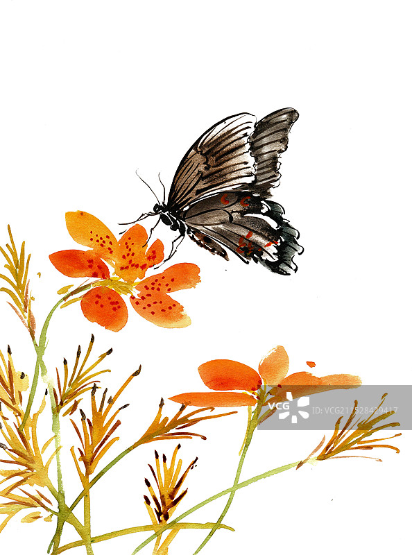 红花与蝴蝶图片素材