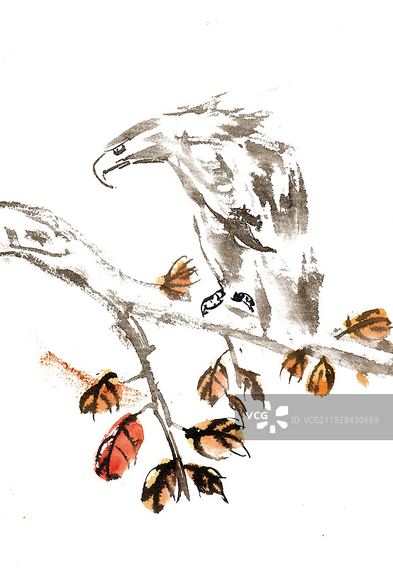 秋树上的雄鹰图片素材