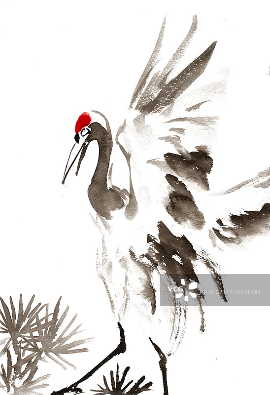 展翅的鹤图片素材