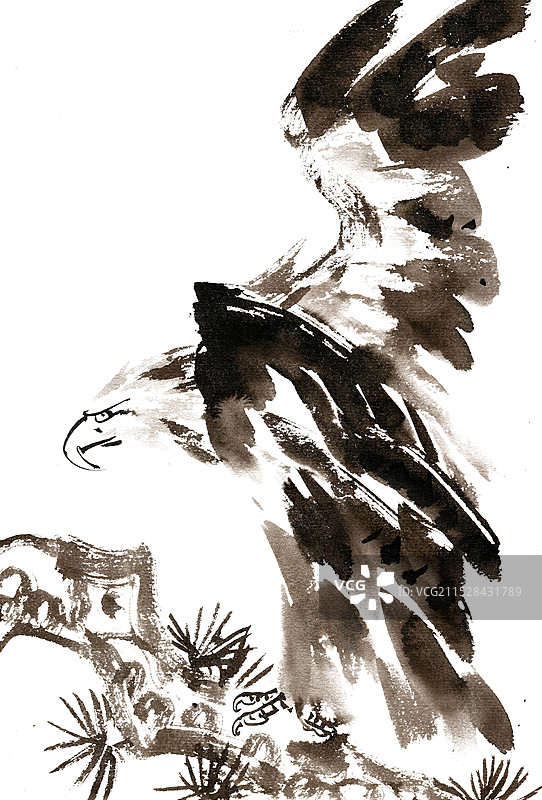 展翅的雄鹰图片素材