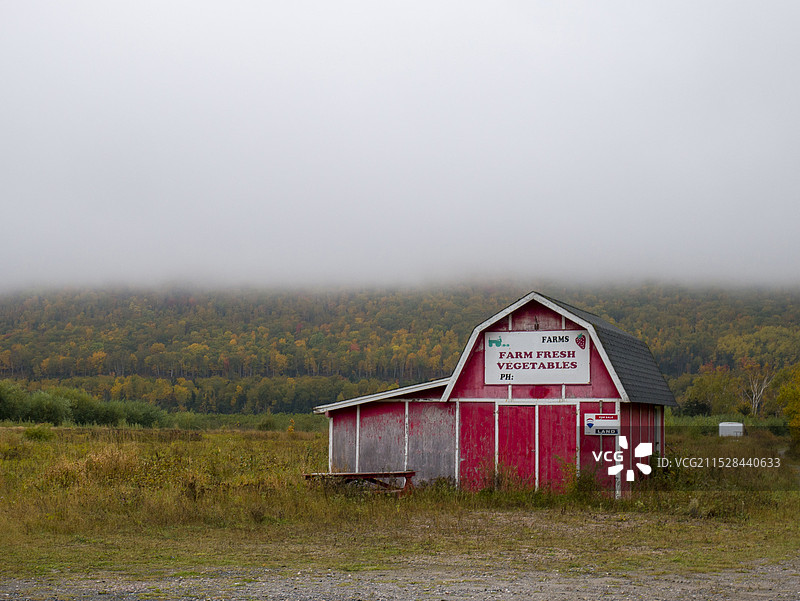 雾气下的农庄图片素材