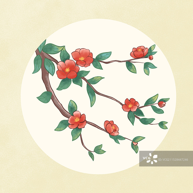 国风插画山茶花图片素材
