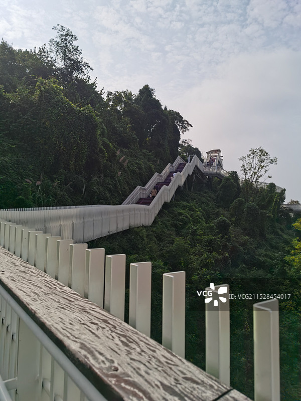 2024年11月秋天成都龙泉森林公园天府新区合江景区高空玻璃栈道图片素材