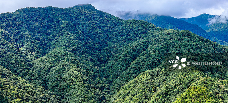 秦岭 西安 鄠邑区 朝阳沟 朱雀森林公园 首阳山 营盘沟图片素材