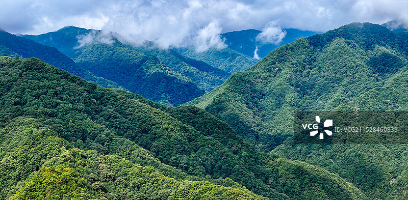秦岭 西安 鄠邑区 朝阳沟 朱雀森林公园 首阳山 营盘沟图片素材