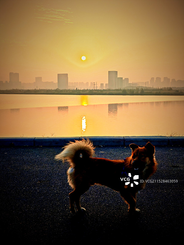 六两河掠影图片素材