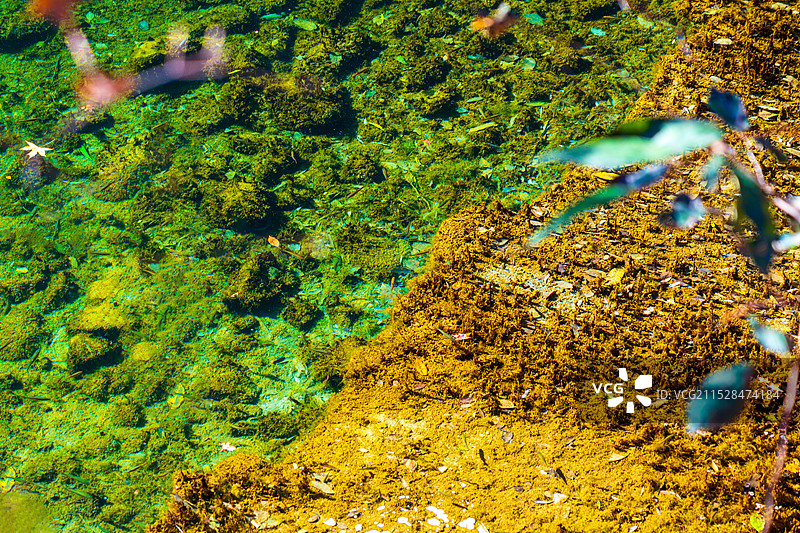 太行大峡谷清澈透明的溪流下七彩石在阳光下闪耀夺目图片素材
