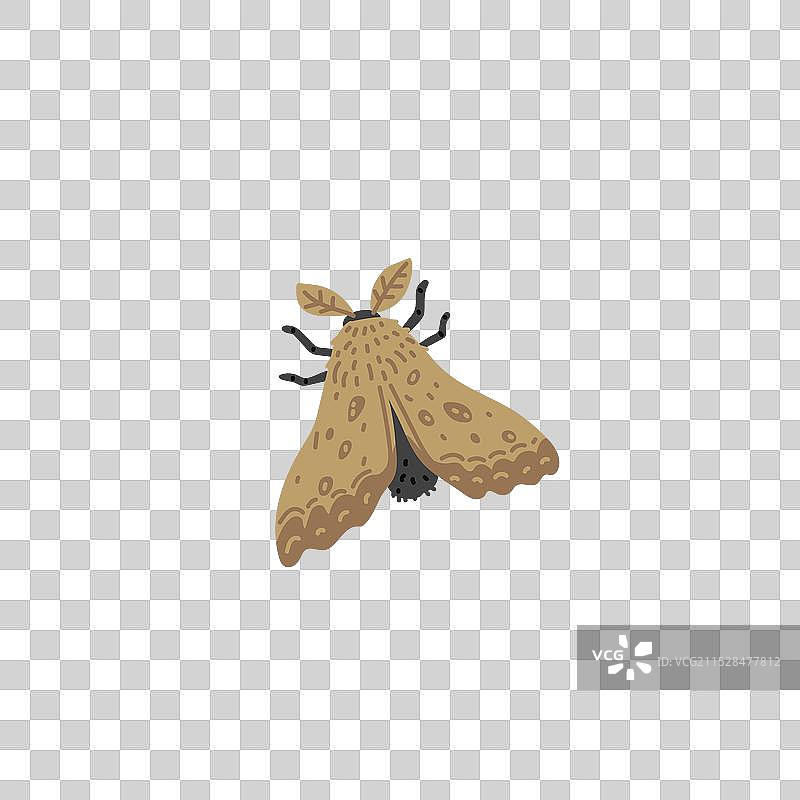 神秘的蛾子符号，扁平设计图片素材