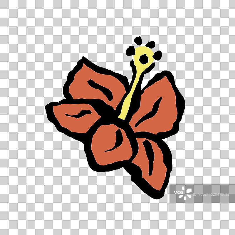 墨水抽象的芙蓉花素描，孤立于背景上图片素材