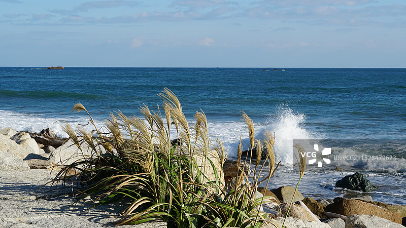 太平洋沿岸 日本爱知县三河渥美半岛恋路海浜图片素材