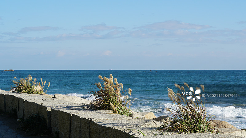 太平洋沿岸 日本爱知县三河渥美半岛恋路海浜图片素材