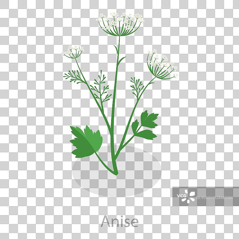 3D等距平面风格的疗愈草药集合图片素材