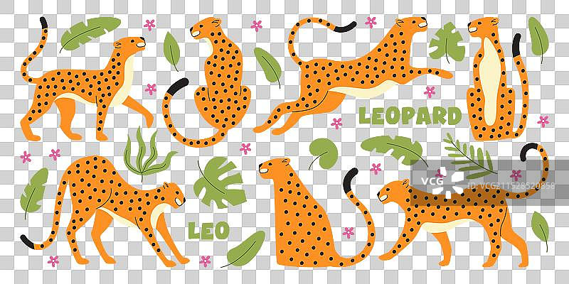 手绘的非洲野生动物园角色——豹子图片素材