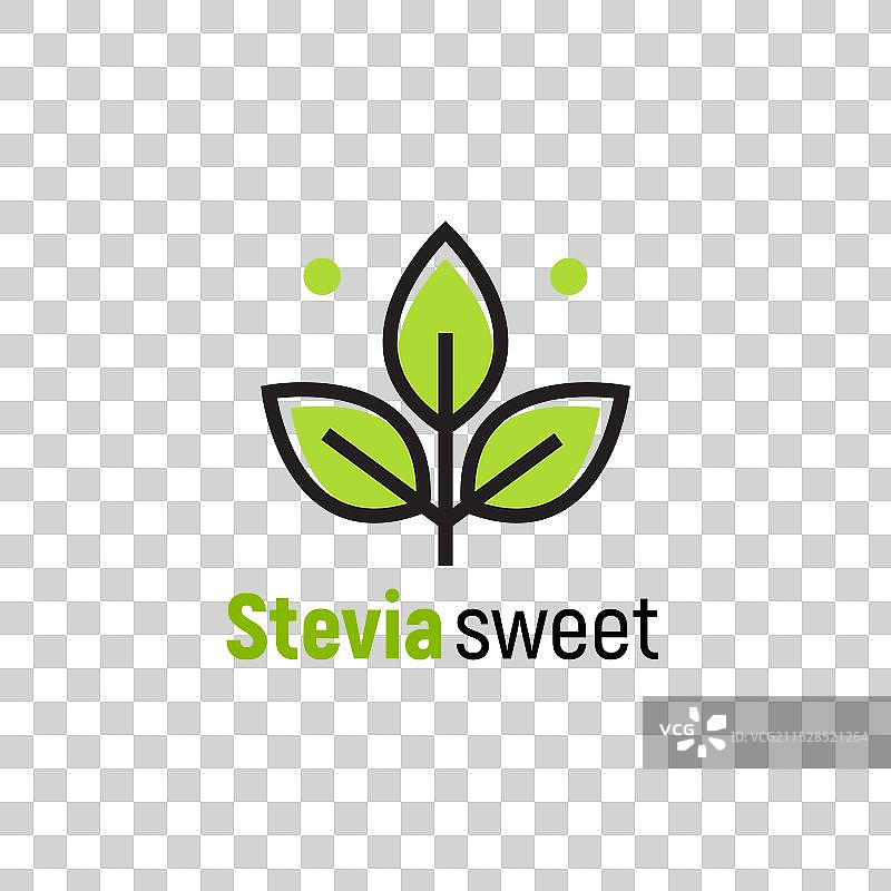 甜叶菊（Stevia rebaudiana）标志图标 甜叶菊叶子图片素材