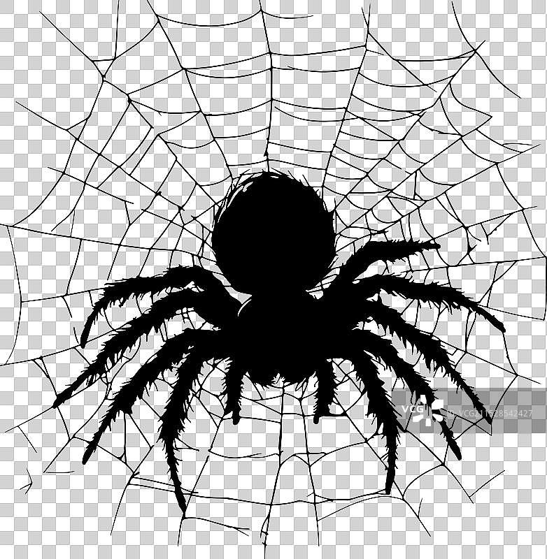 一只蜘蛛编织网的剪影图片素材