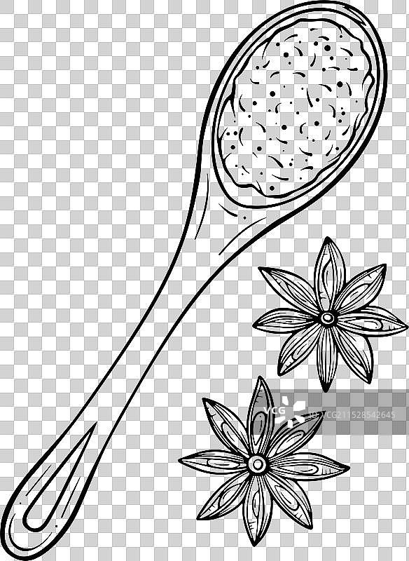 带有香料和八角的勺子线条艺术图片素材