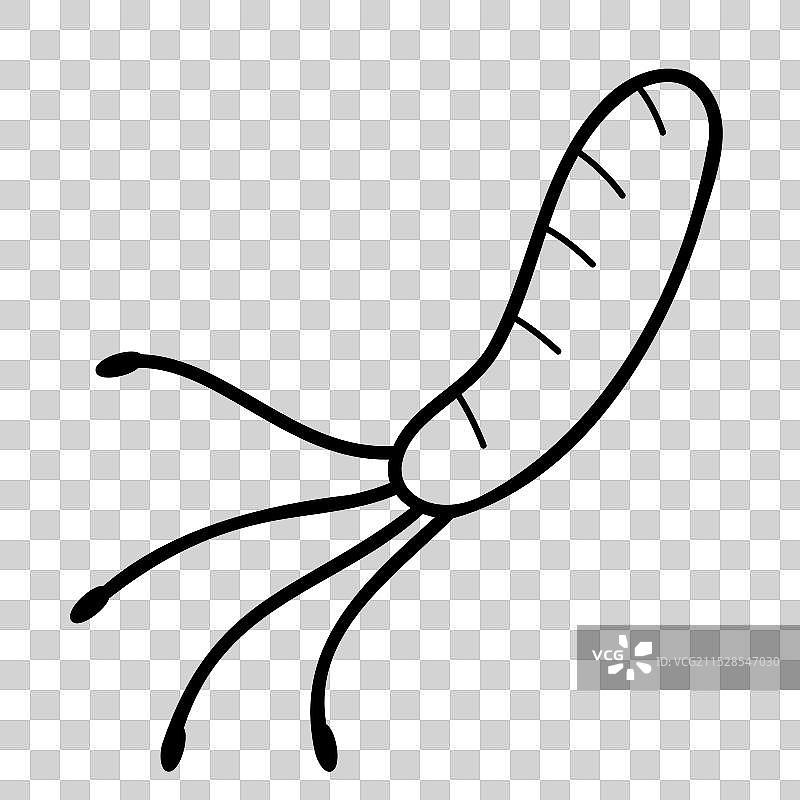 幽门螺旋杆菌线条图标，背景为白色图片素材