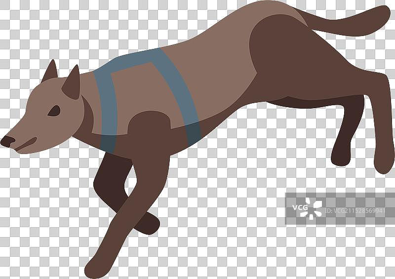 训练有素的搜救犬在奔跑图片素材