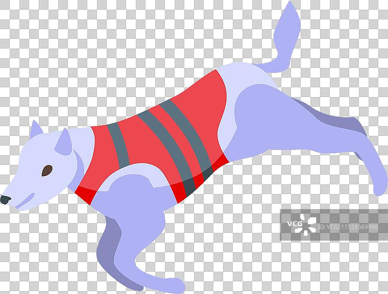 训练有素的搜救犬穿着背心奔跑图片素材