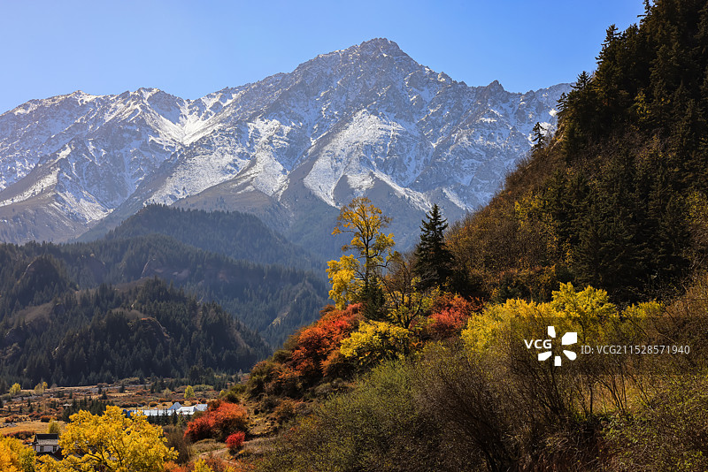 祁连山下秋色浓图片素材