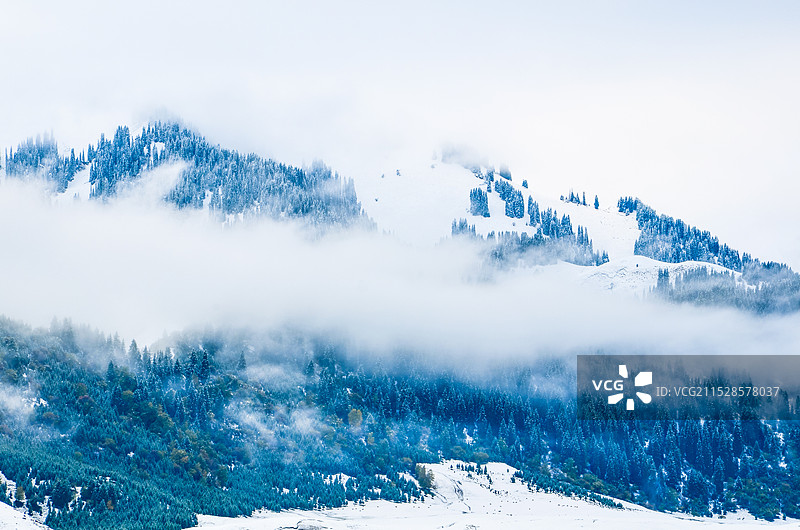 雾凇森林图片素材