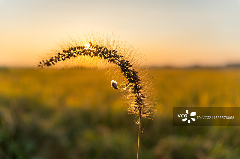 霍邱城关图片素材