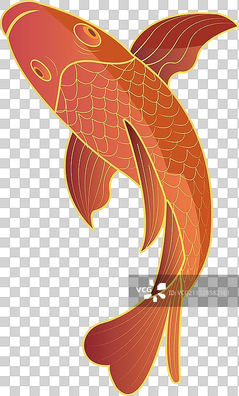 中国风 锦鲤图片素材