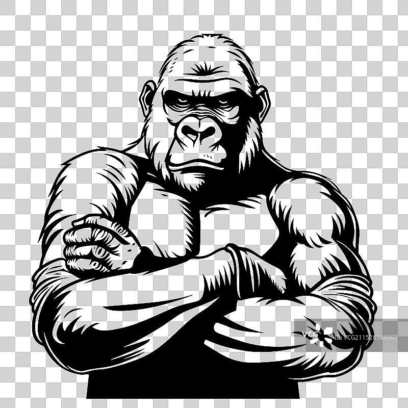 孤立的手绘大猩猩图片素材