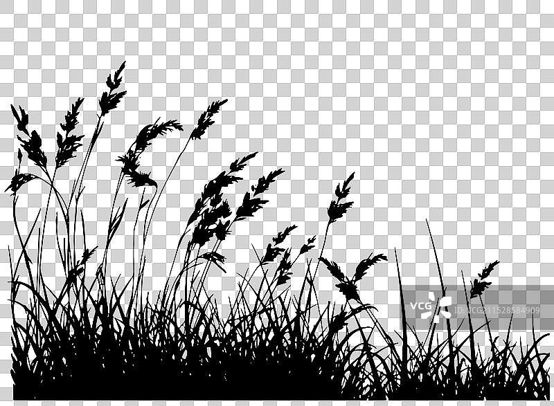 手绘风格的涂鸦草丛合集图片素材