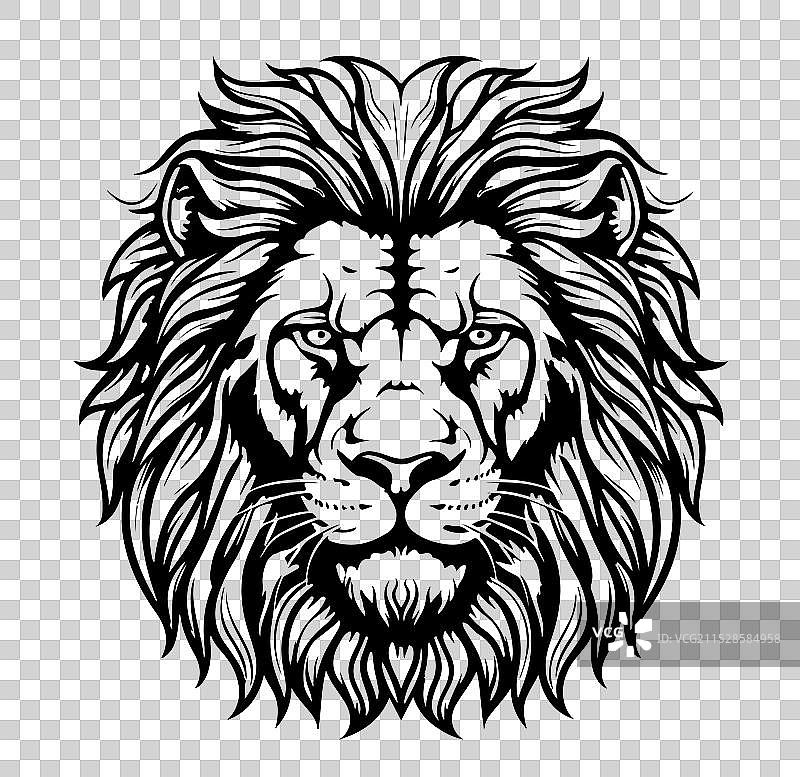 手绘狮子肖像图片素材