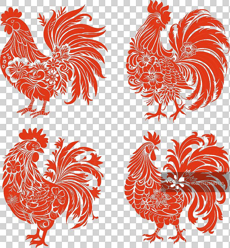 精致的植物鸡轮廓彩色墨水图片素材