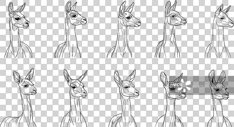 骆驼墨水画系列生物图片素材