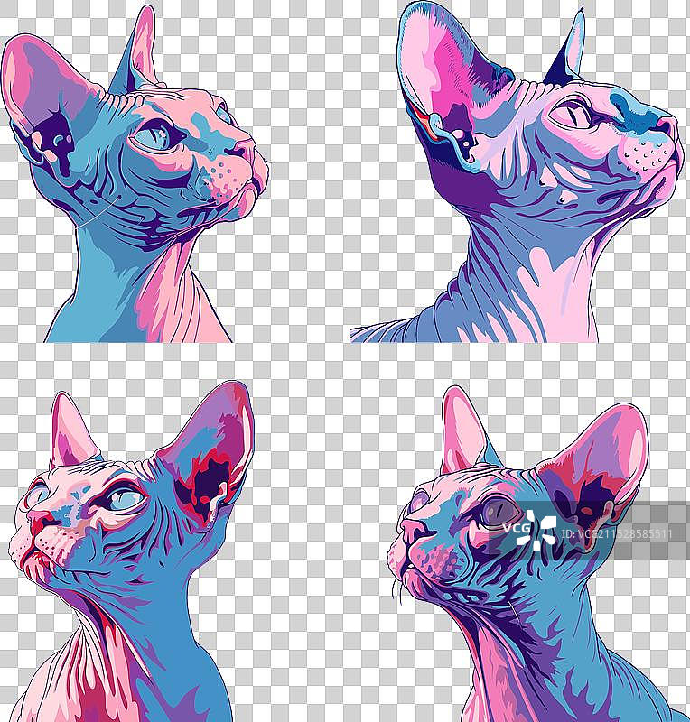 生动的斯芬克斯猫卡通形象图片素材