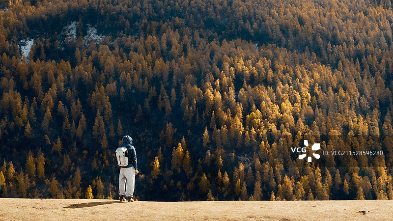 秋天在户外图片素材