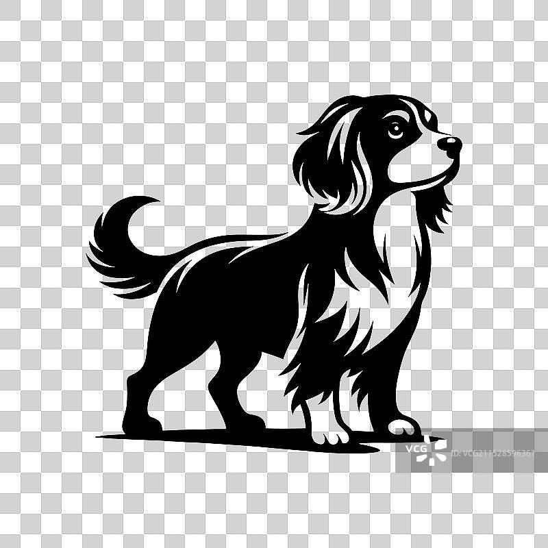 顶级犬种指南图片素材