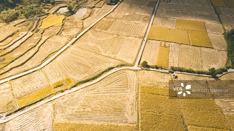 龙岩市永定区奥杳村稻田图片素材