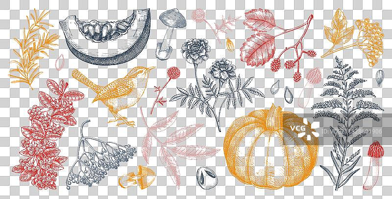 手绘秋季复古植物图案图片素材