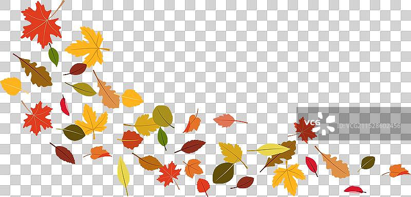 秋天飘落的橙色树叶图片素材