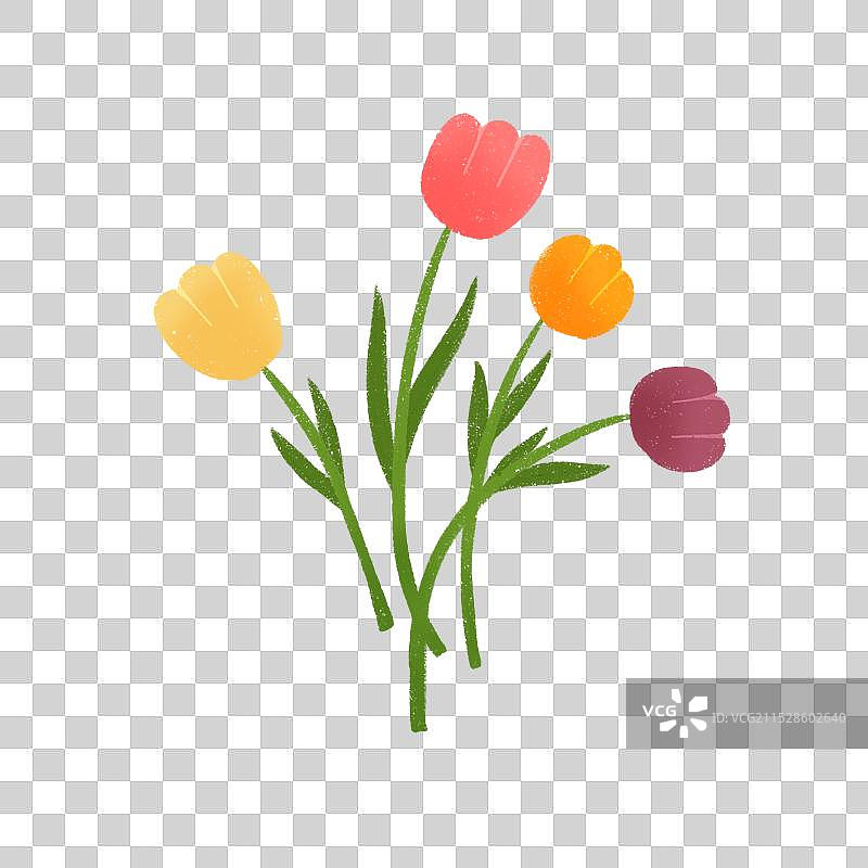郁金香花束元素图片素材